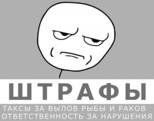 Штрафы за нарушение законодательства