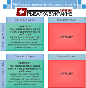 Рыбалка во время нерестового запрета