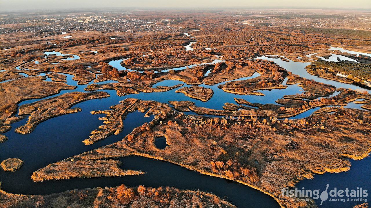 Плавни Самары