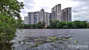 Рыбалка на Днепре в Киеве