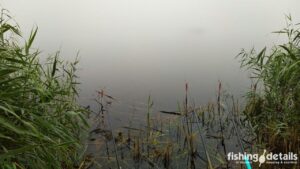Утро на Самаре Октябрь