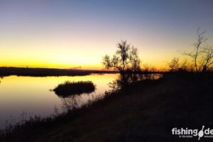 Rassvet na Samare Рыбалка одной поклевки