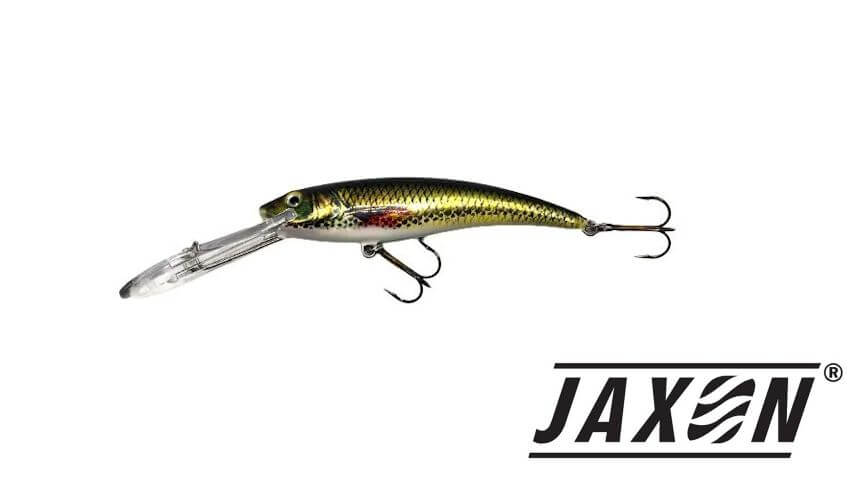 Jaxon Diver
